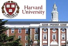 Harvard più armi meno omicidi
